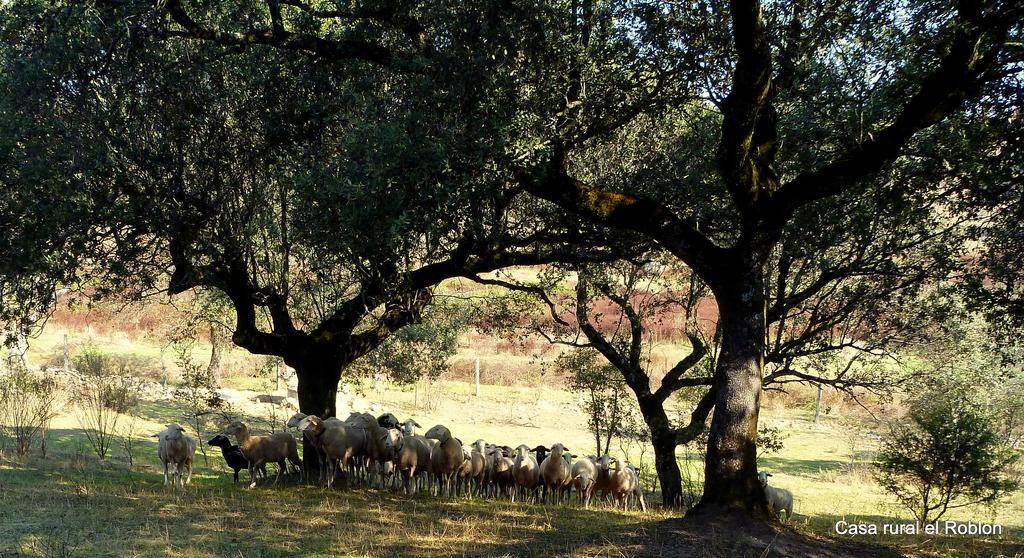 Casa Rural El Roblon Sartajada Eksteriør billede